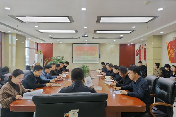 中共中臨建設(shè)集團(tuán)股份有限公司支部委員會 召開2024年度組織生活會暨民主評議 黨員大會